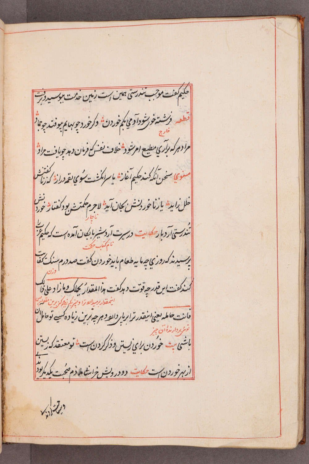 Folio 57 verso
